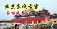 日逼网站免费观看中国北京-东城古宫旅游风景区